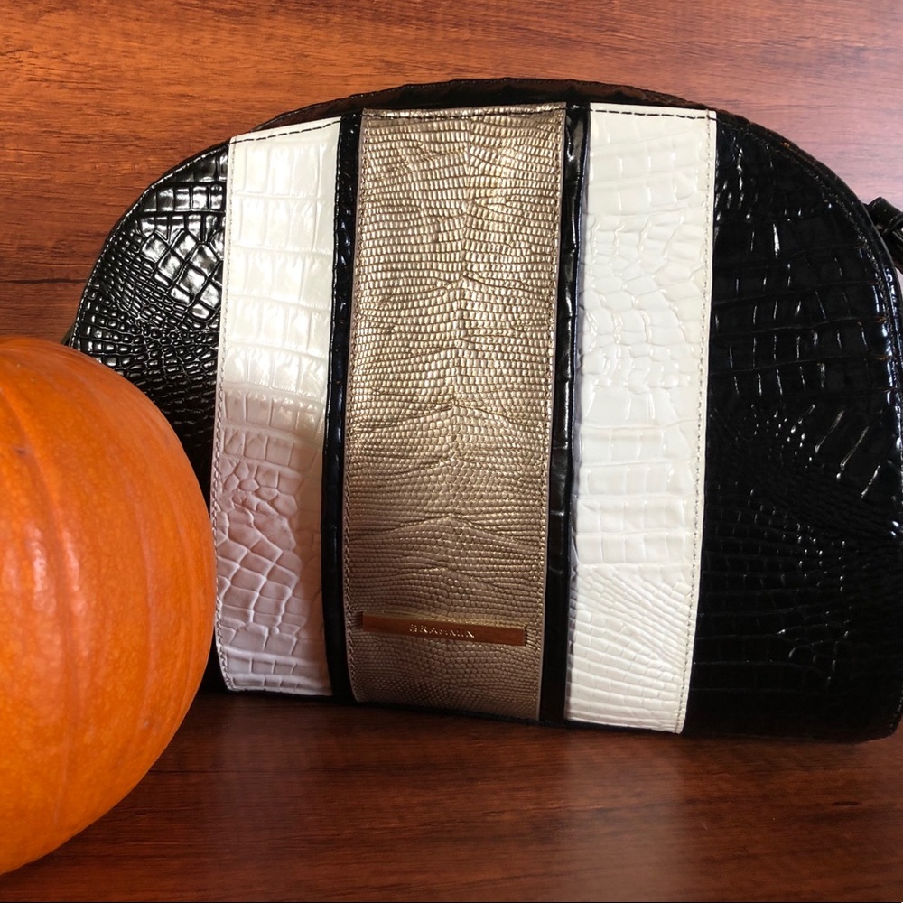 Brahmin handbag